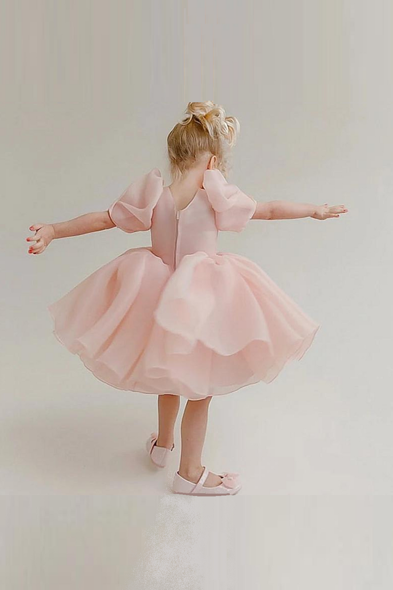 Girls Dress Princess Dresses Flower Girls Performance Gown Puff Sleeve Blush Pink Dress