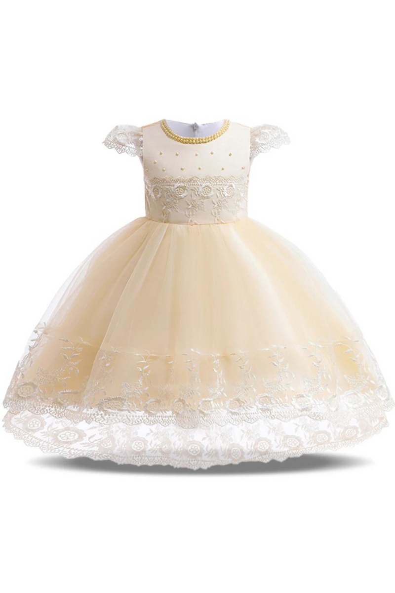 Elegant Girl Birthday Princess Dress Baby Embroidery Floral Bow Tutu Gown Flower Wedding Clothes Kids Formal Occasion