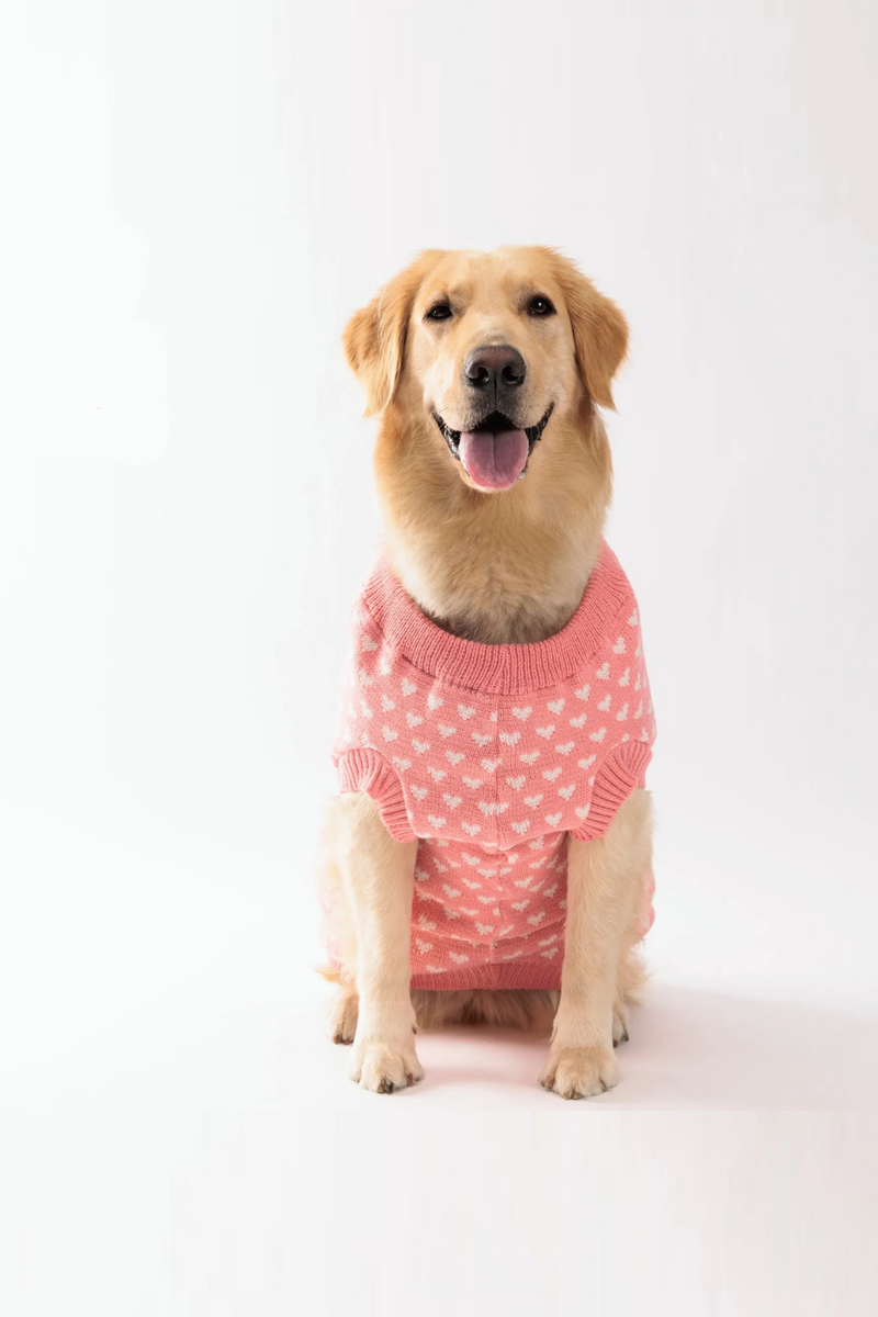 Winter Warm Pet Sweater Dogs and Cats Cute and Cozy Pet Clothes for Cold Weather