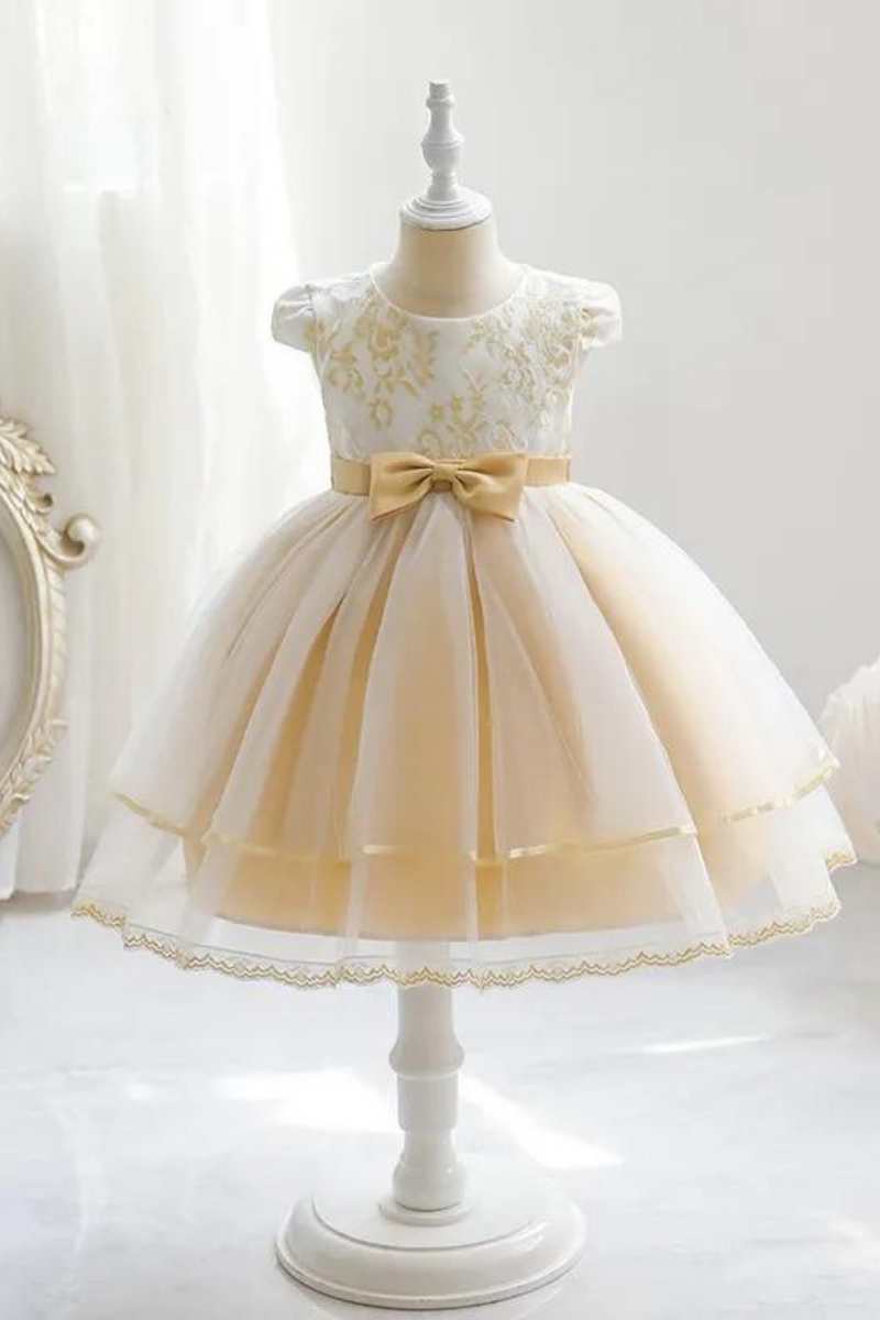 Champagne Baby Girl Summer Dress Embroidery Tulle Toddler Party Layers Birthday Princess Formal Gowns Child Kids Clothes