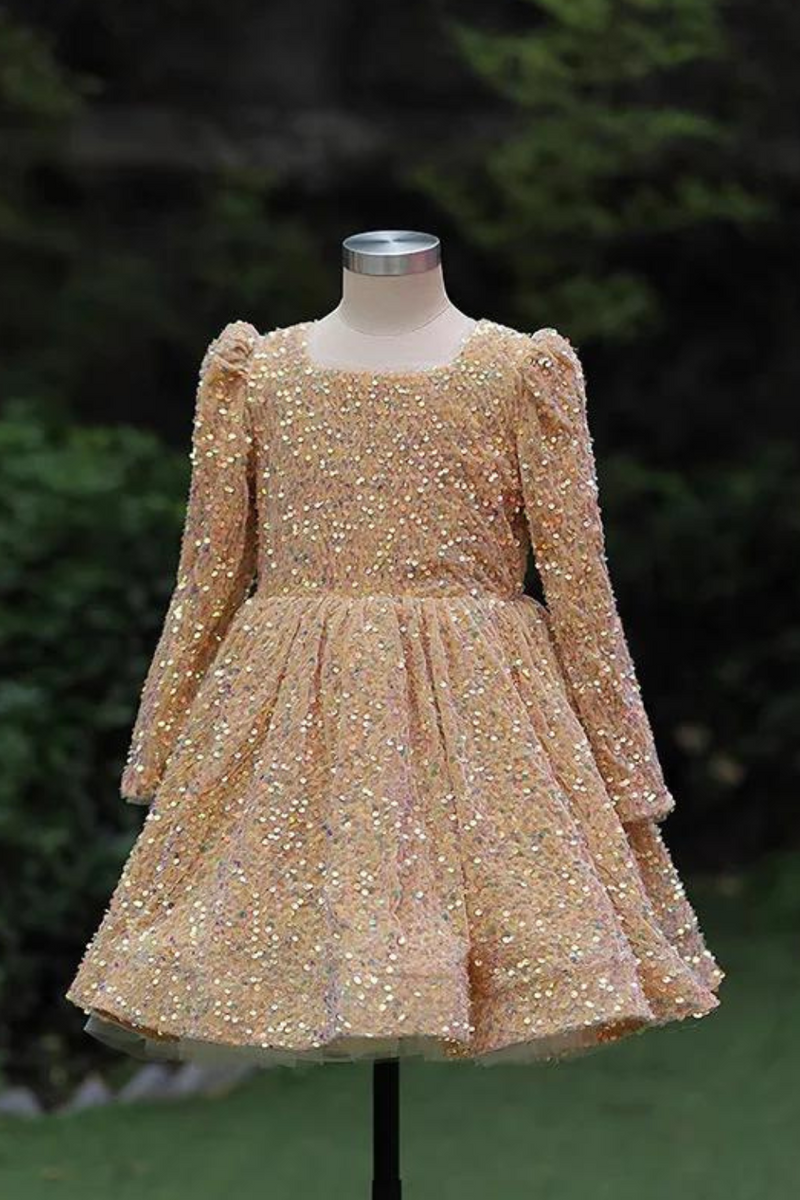 Dress Princess Dress Sequin Little Girl First Birthday Party Evening Dress Autumn And Winter