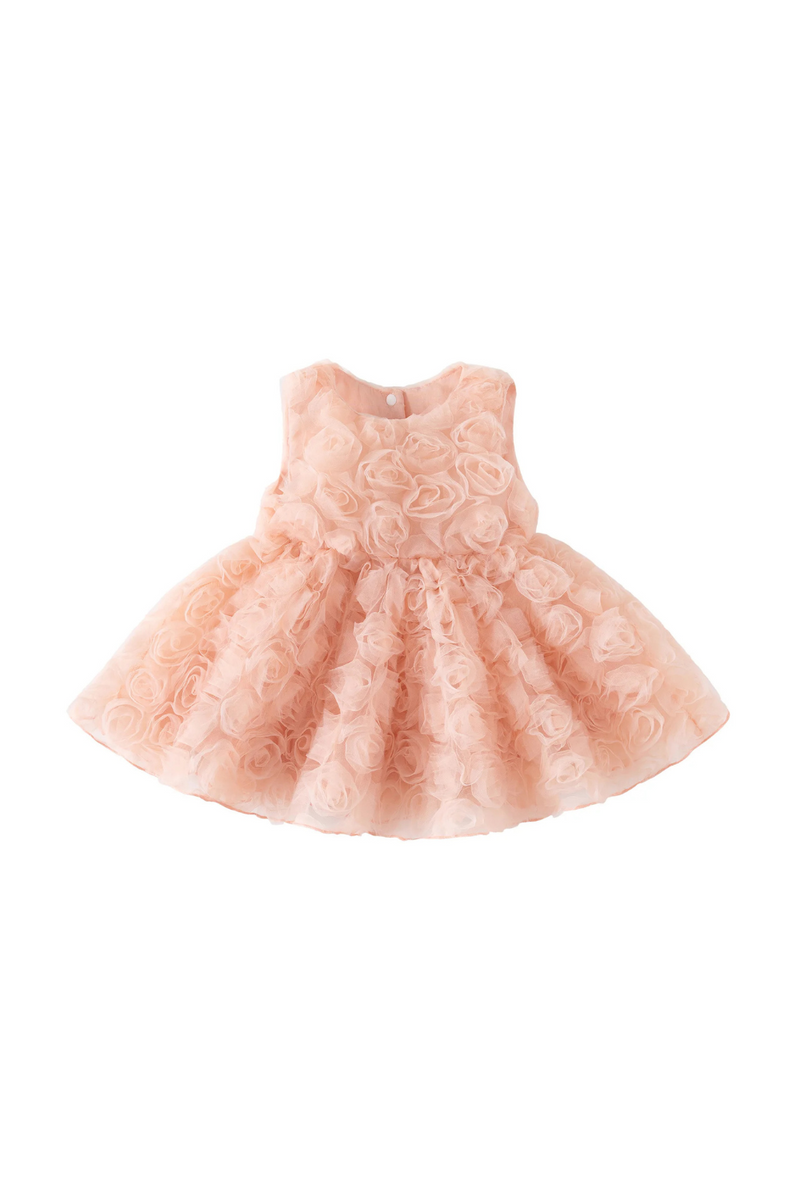 Formal Princess Baby Girl Dresses Summer Sleeveless Rose Dress