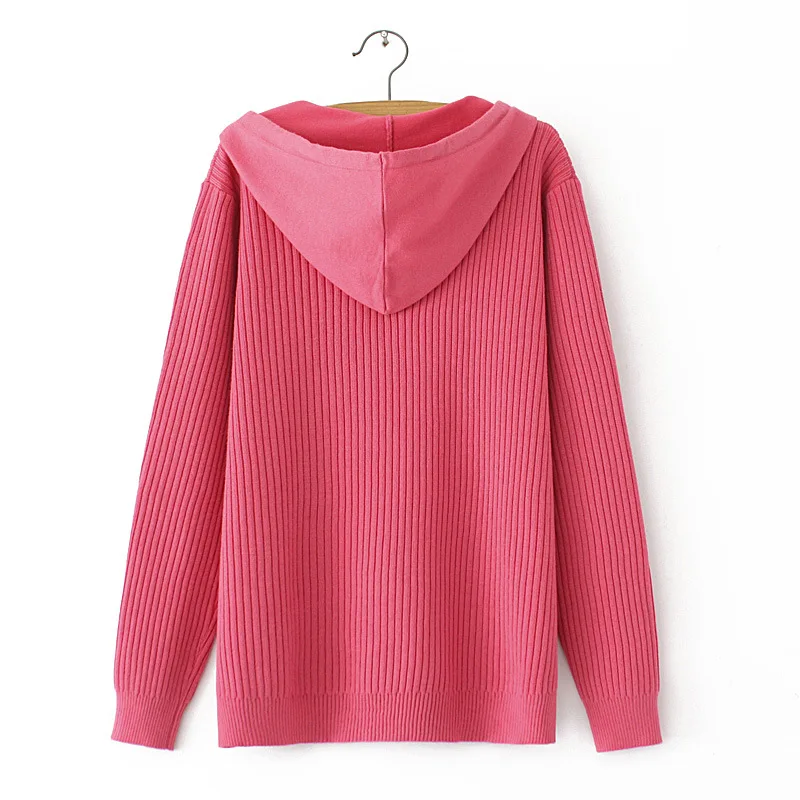 Hooded Pullover Sweater Womens Autumn Winter Casual Clothing Long Sleeve Knitted Jumpers