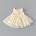 Formal Princess Baby Girl Dresses Summer Sleeveless Rose Dress