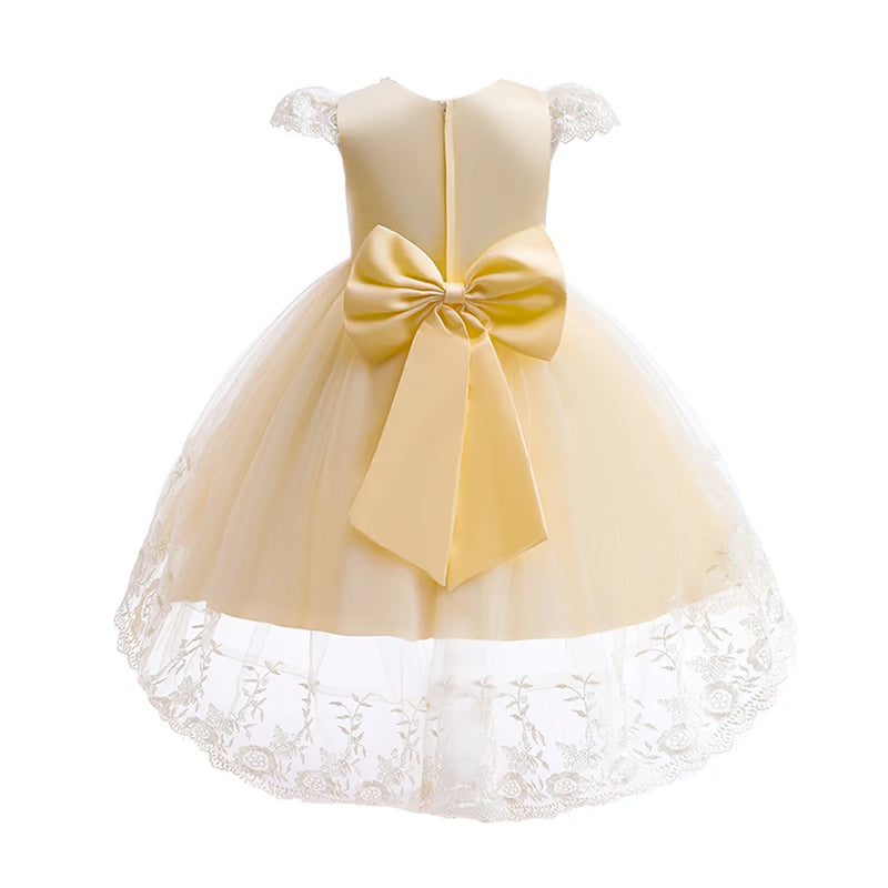 Elegant Girl Birthday Princess Dress Baby Embroidery Floral Bow Tutu Gown Flower Wedding Clothes Kids Formal Occasion