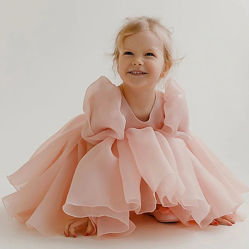 Girls Dress Princess Dresses Flower Girls Performance Gown Puff Sleeve Blush Pink Dress