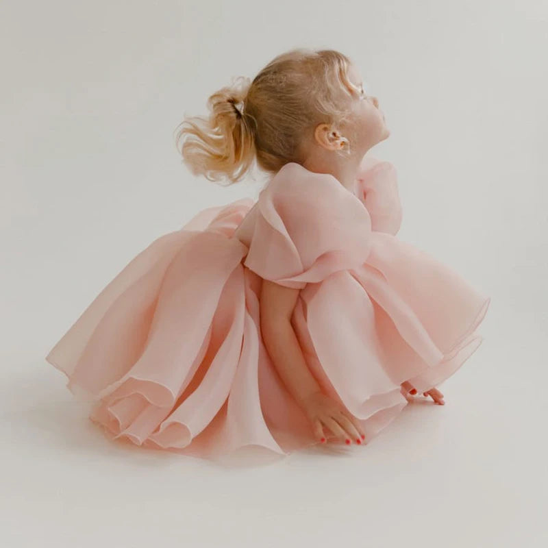 Girls Dress Princess Dresses Flower Girls Performance Gown Puff Sleeve Blush Pink Dress