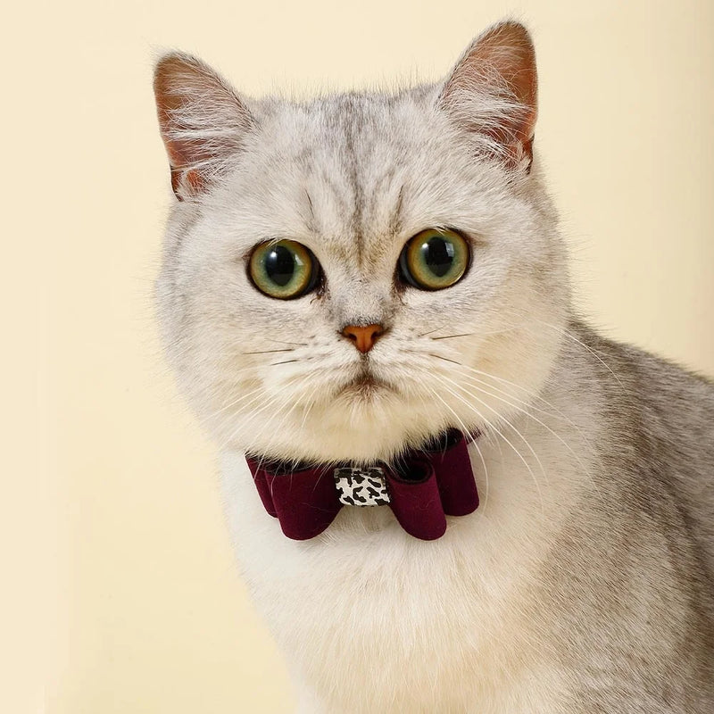 Soft Velvet Cat Collar Small Puppy Cat Dog Collars Bow Kitten Collar Bowknot Necklace