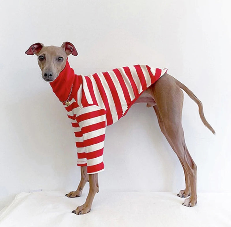 High Neck Italian Greyhound Clothes Cotton Stretch Puppy Clothes Whippet/Bellington Medium Dog Pet Clothes