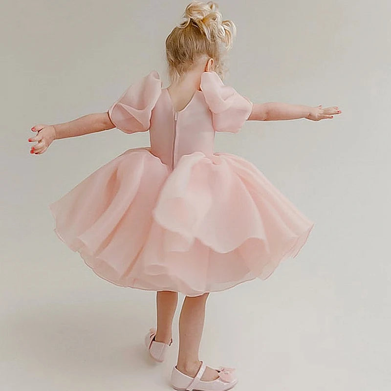 Girls Dress Princess Dresses Flower Girls Performance Gown Puff Sleeve Blush Pink Dress