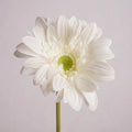 Gerbera Artificial Real Touch Flowers Wedding Design Bridal Bouquets Party Floral Home Decoration Flowers