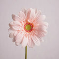 Gerbera Artificial Real Touch Flowers Wedding Design Bridal Bouquets Party Floral Home Decoration Flowers