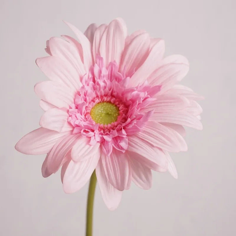 Gerbera Artificial Real Touch Flowers Wedding Design Bridal Bouquets Party Floral Home Decoration Flowers