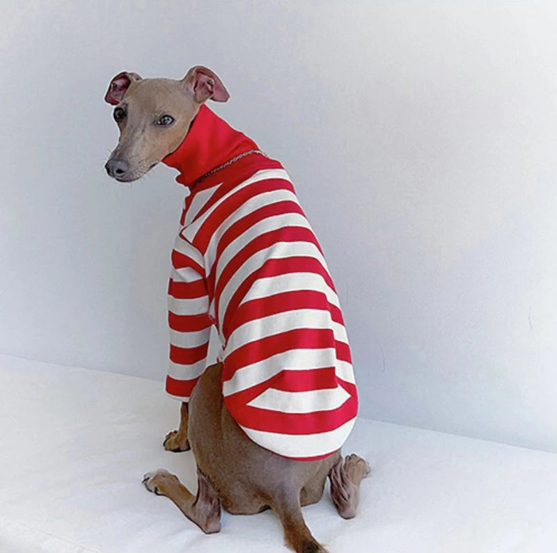 High Neck Italian Greyhound Clothes Cotton Stretch Puppy Clothes Whippet/Bellington Medium Dog Pet Clothes