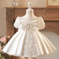 Children's Dress Princess Dress Girls Dress Flower Girls Wedding Little Girl Dress