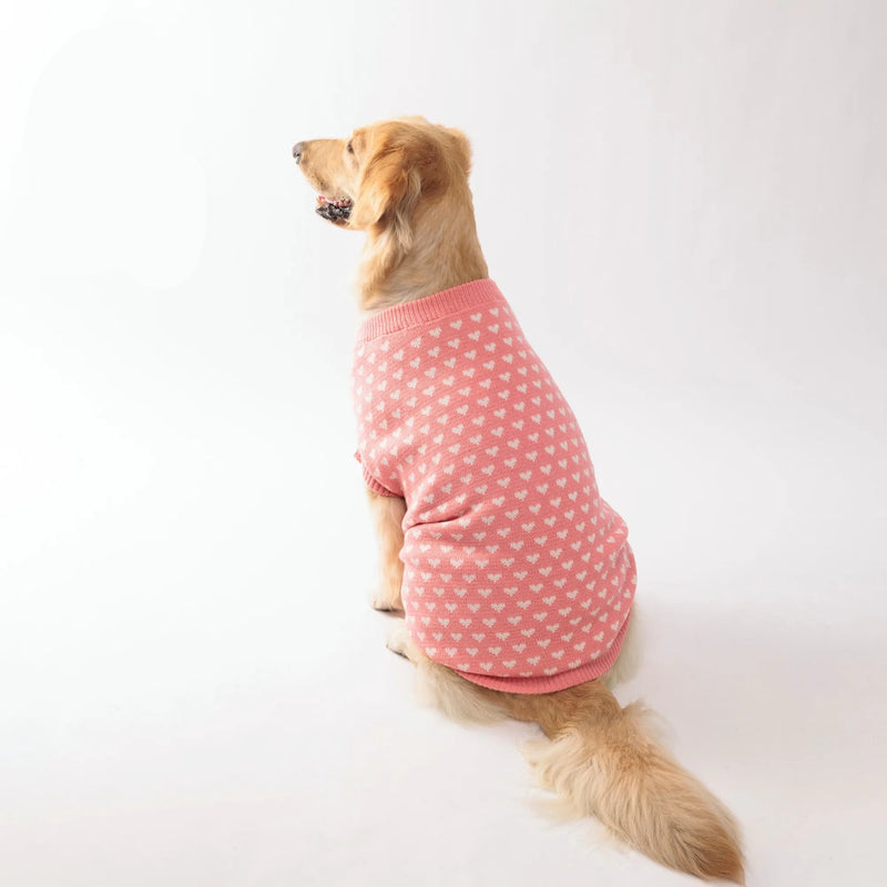 Winter Warm Pet Sweater Dogs and Cats Cute and Cozy Pet Clothes for Cold Weather