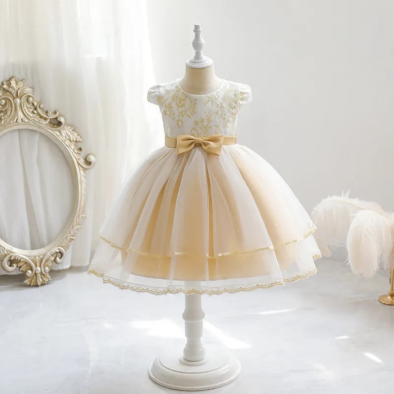 Champagne Baby Girl Summer Dress Embroidery Tulle Toddler Party Layers Birthday Princess Formal Gowns Child Kids Clothes