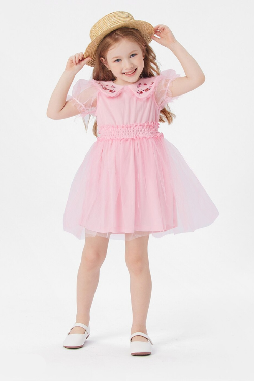 Toddler Girl Embroidered Statement Collar Puff-sleeve Mesh Dress