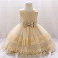 Infant Newboen Party Dress For Baby Girl Clothes Lace Princess Dresses Baptism Dress Retro Embroidery Gown