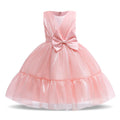 Pink Soft Velvet Flower Girls Wedding Dress Formal Ceremonies Ball Gown Kids Clothing Little Child Birthday Party Prom